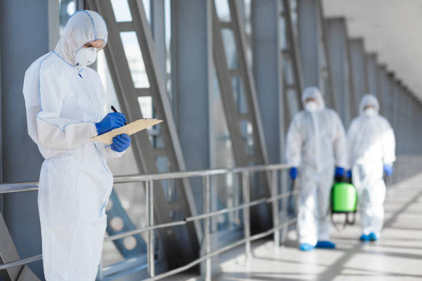Professional Mold Removal in Todd Creek, CO