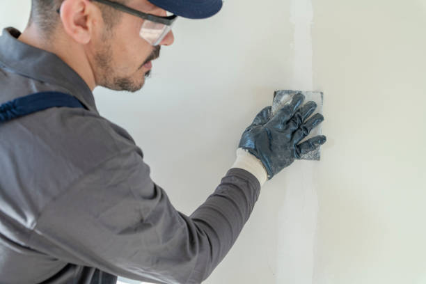 Best Indoor Air Quality Assessment  in Todd Creek, CO