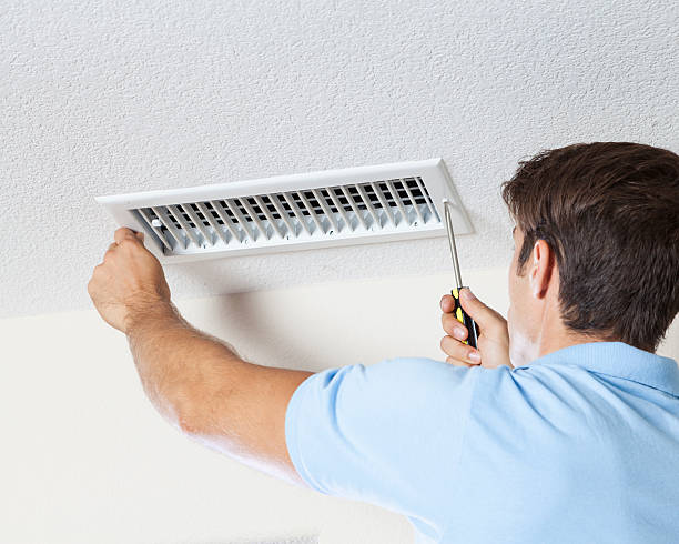 Best Mold Remediation for Healthcare Facilities  in Todd Creek, CO