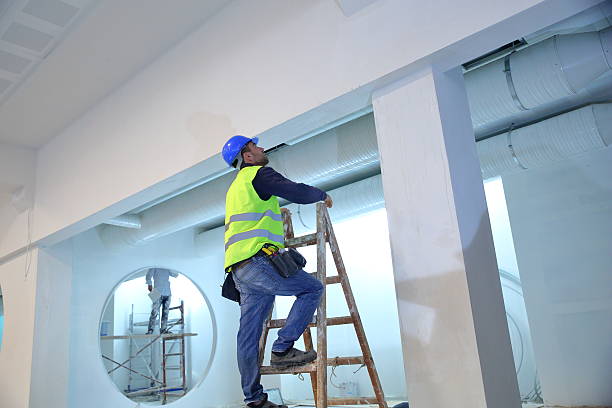 Best Industrial Mold Remediation  in Todd Creek, CO