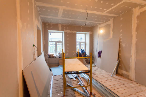 Best Basement Mold Removal  in Todd Creek, CO